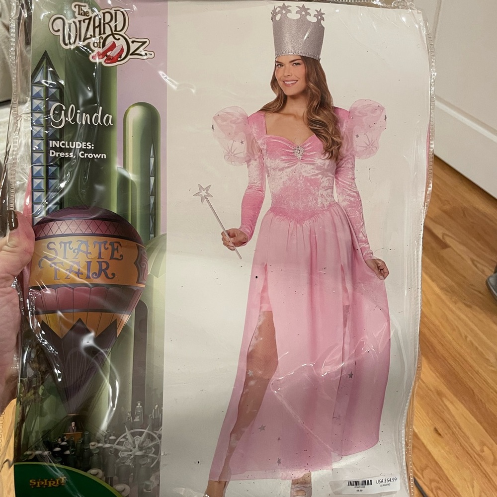 Womens Glinda the good witch costume